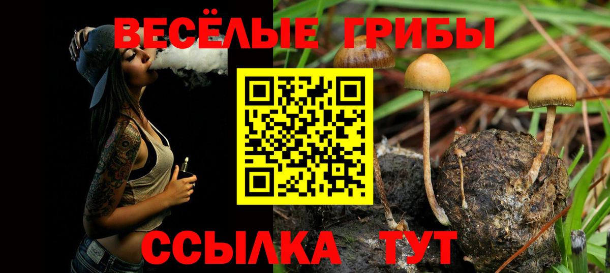 Галлюциногенные грибы Psilocybine cubensis  даркнет сайт  Галлюциногенные грибы MAGIC MUSHROOMS  Пыть-Ях  Вход с VPN 